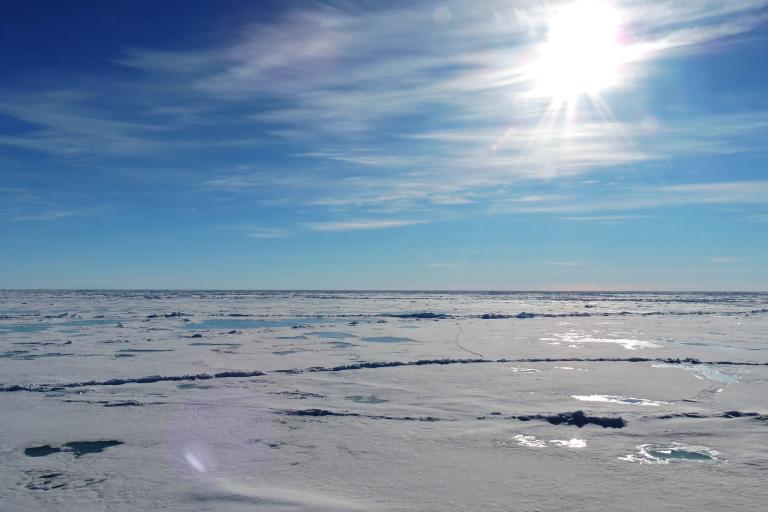 Pan-Arctic climate outlook forum, May 2019