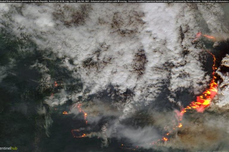 Wildfires in northern hemisphere July 2021