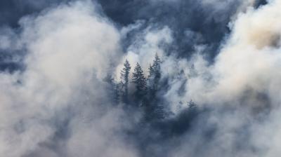 An aerial view of smoke coming out of a forest.