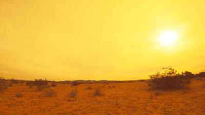 Desert landscape bathed in golden sunlight.