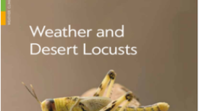  Weather and Desert Locusts
