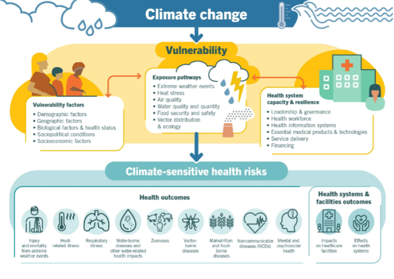 Climate change and health infographic