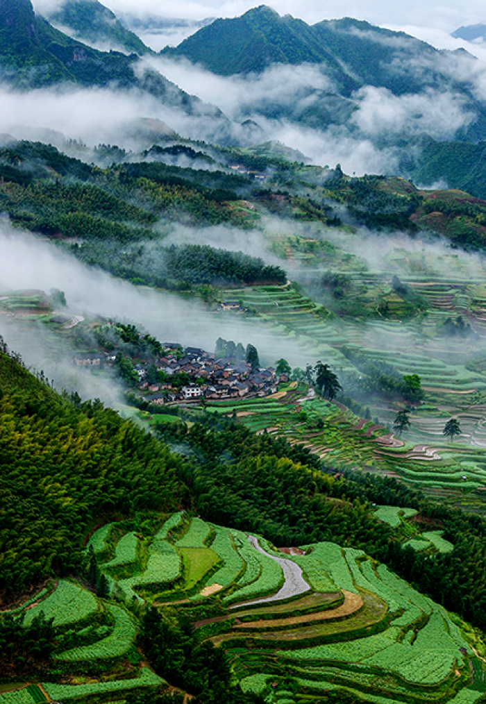 Rice terraces in the mountains with mist in the background.