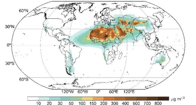 The annual mean surface concentration of mineral dust in 2019