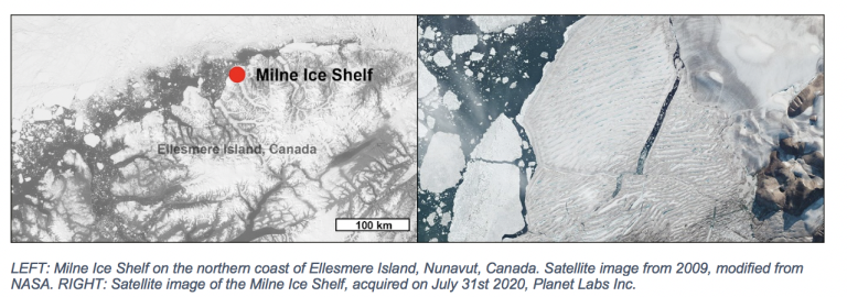 Milne Ice Shelf