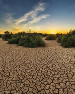World Met Day 2020: Drought