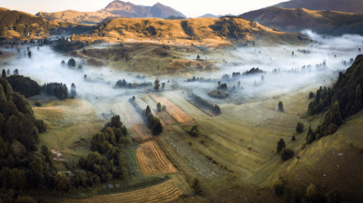Misty morning over a rolling rural landscape with scattered trees and golden sunlight.