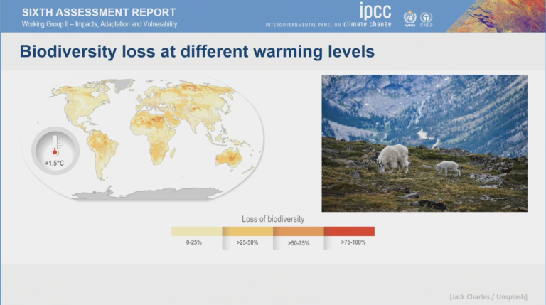 IPCC Working Group II report